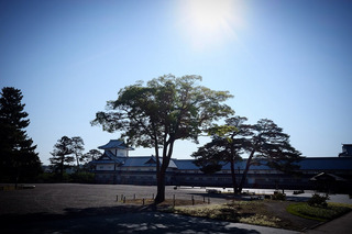 sa_0603.jpg