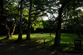 sa_25_0523.jpg