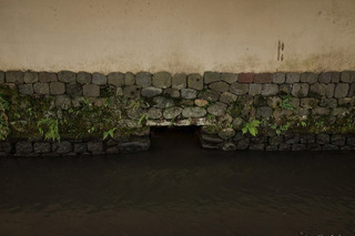 sa_25_0709.jpg