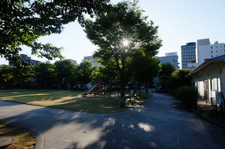 sa_25_0729.jpg